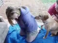 Dog grabs the chance to fuck a girl and man aids dog to fuck